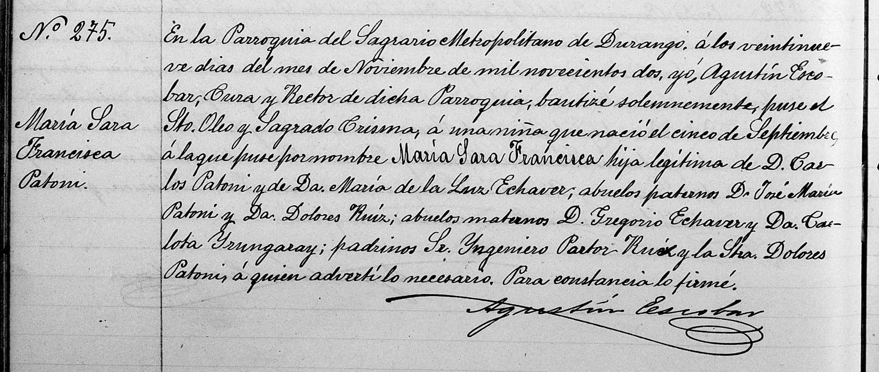 Church Birth Record of Maria Sara Francisca Patoni in 1902